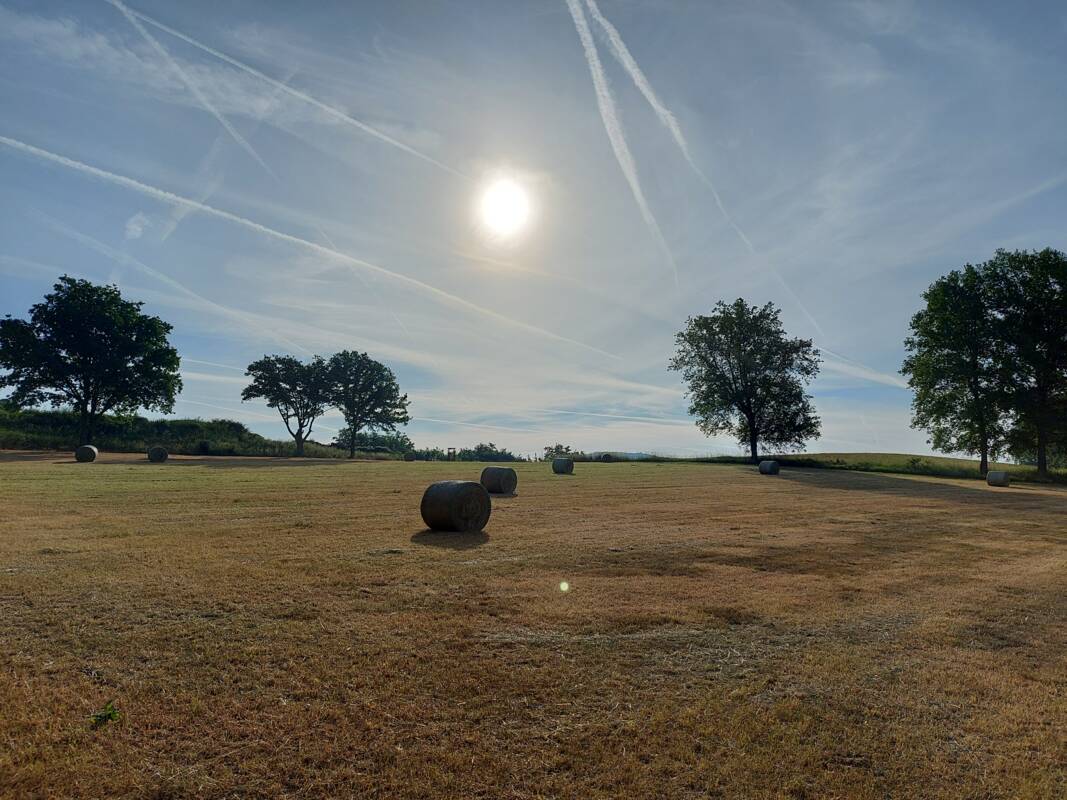 Landschaft6